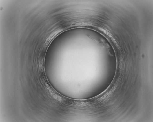 X0000059061273200510281623