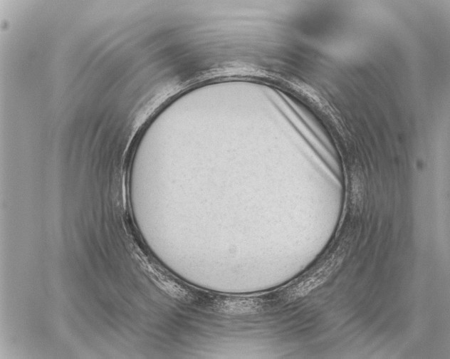 X0000059061274200510281623