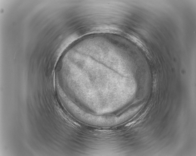 X0000059061275200510281623