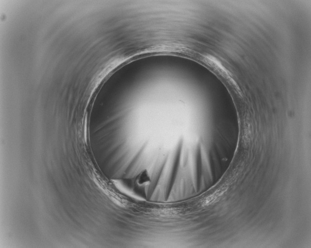 X0000059061276200510281623