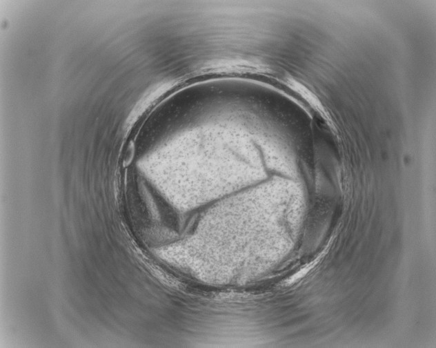 X0000059061277200510281623