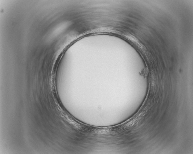 X0000059061278200510281623