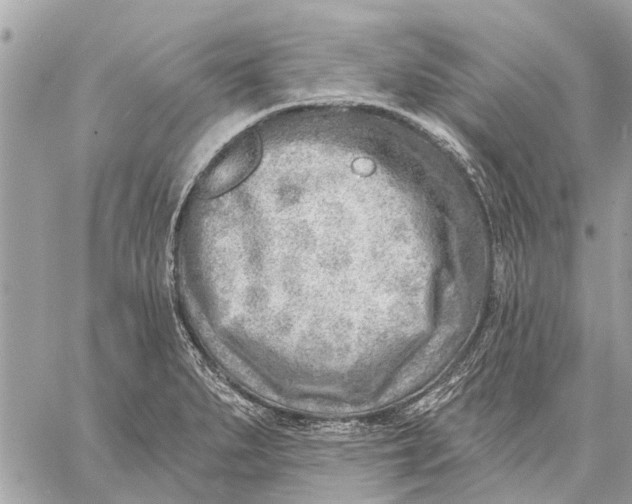 X0000059061279200510281623