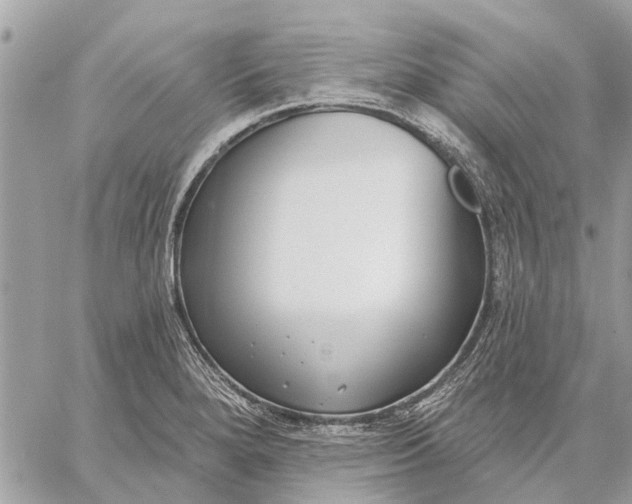 X0000059061280200510281623