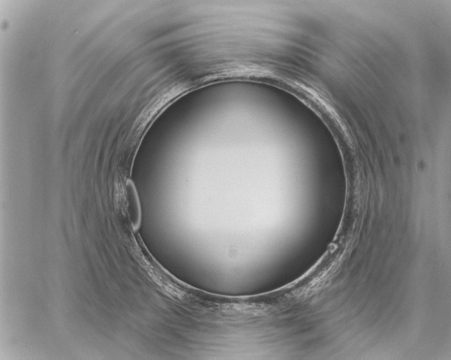 X0000059061281200510281623