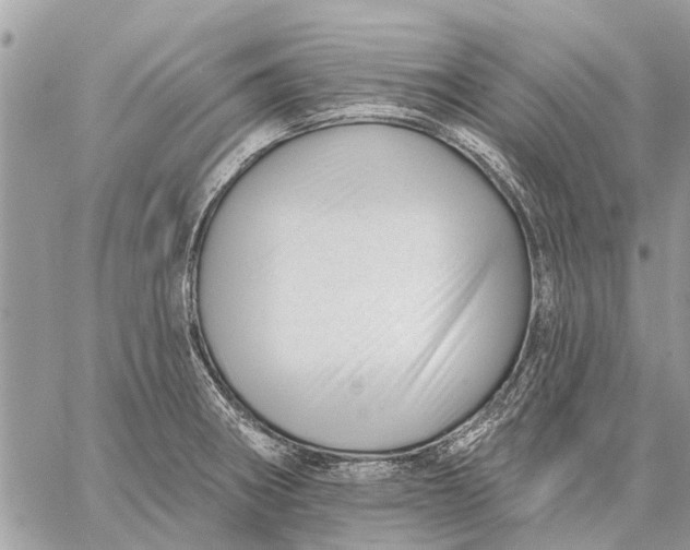 X0000059061282200510281623