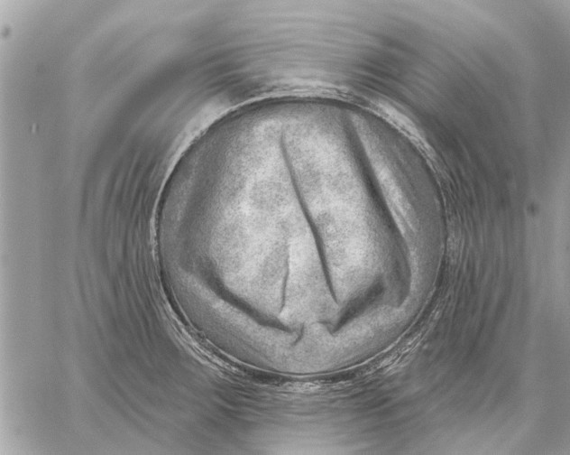 X0000059061283200510281623