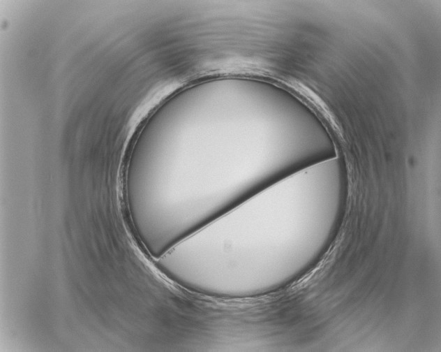 X0000059061285200510281623