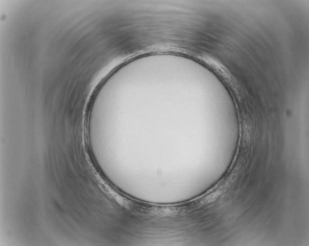 X0000059061286200510281623