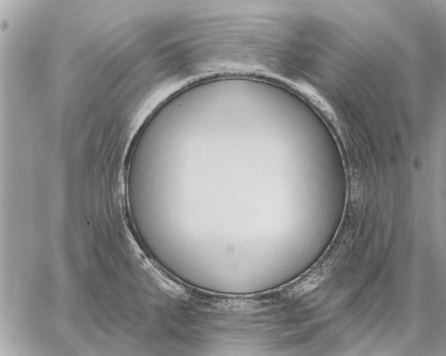 X0000059061287200510281623