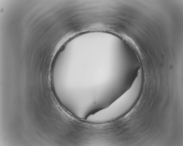 X0000059061288200510281623