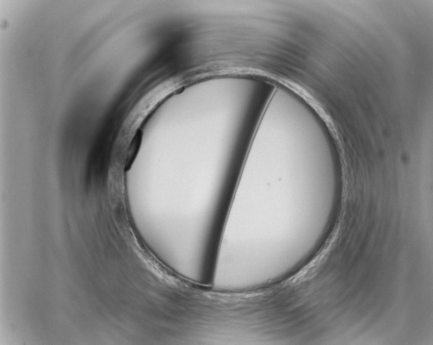 X0000059061289200510281623