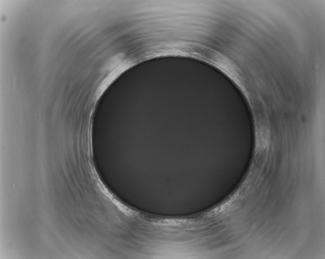 X0000059061290200510281623