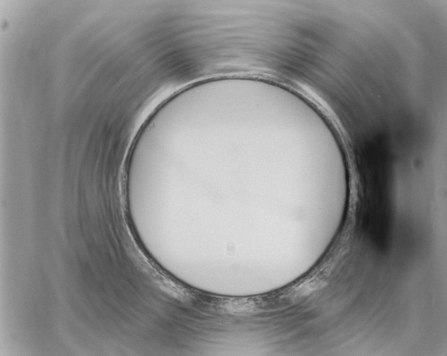 X0000059061291200510281623