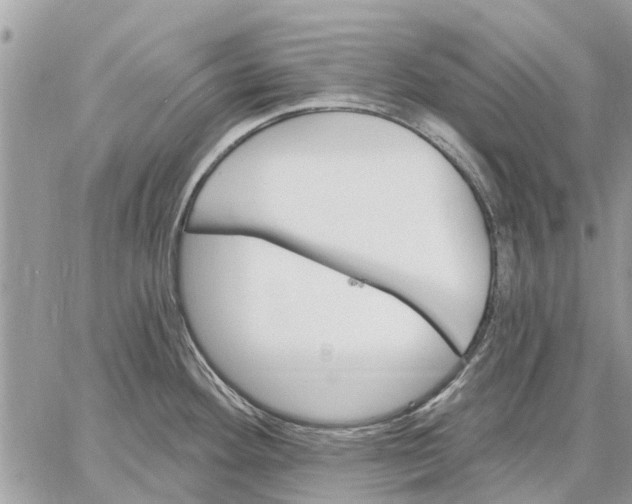 X0000059061292200510281623