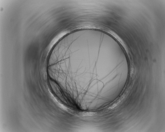 X0000059061293200510281623