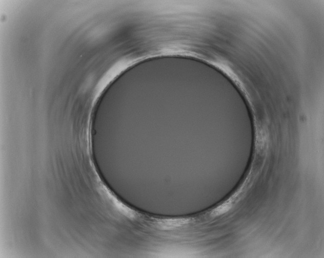 X0000059061294200510281623