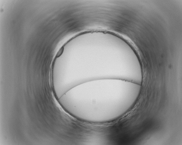 X0000059061295200510281623