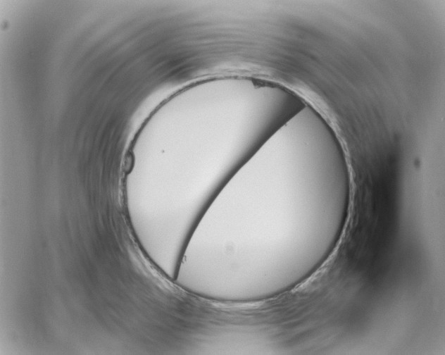 X0000059061296200510281623