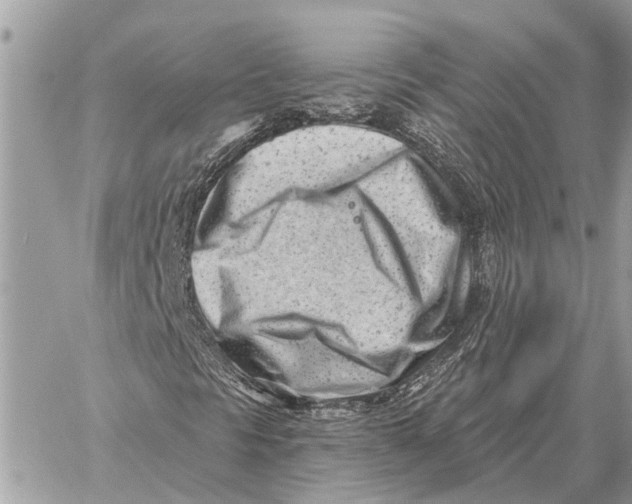 X0000059061297200510281622