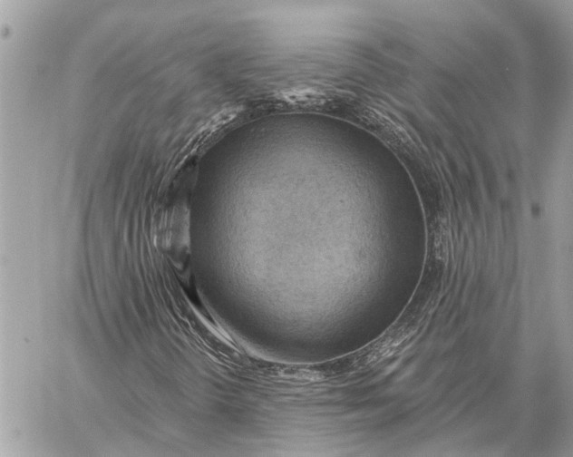 X0000059061298200510281622