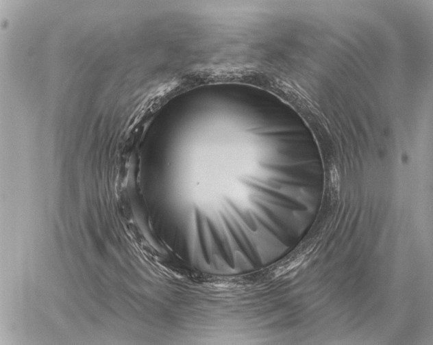 X0000059061300200510281622