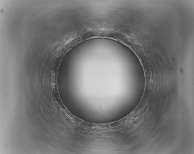 X0000059061301200510281622