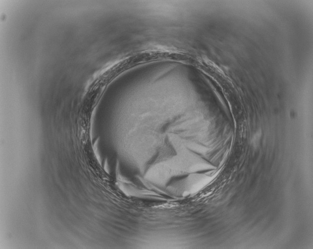 X0000059061303200510281622