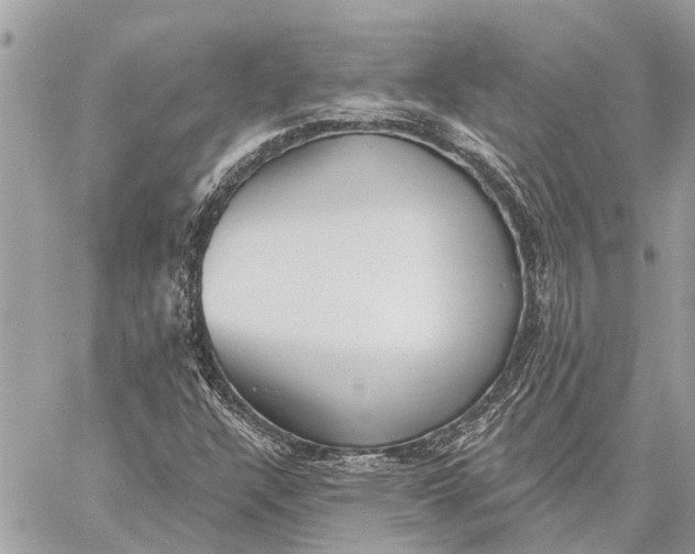 X0000059061304200510281622