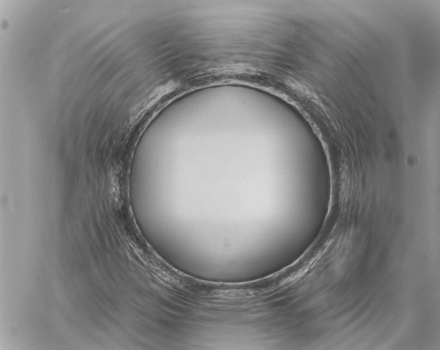 X0000059061305200510281622