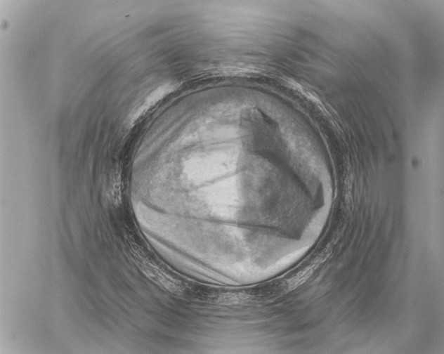 X0000059061306200510281622