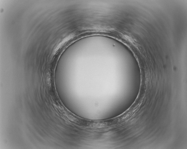 X0000059061307200510281622