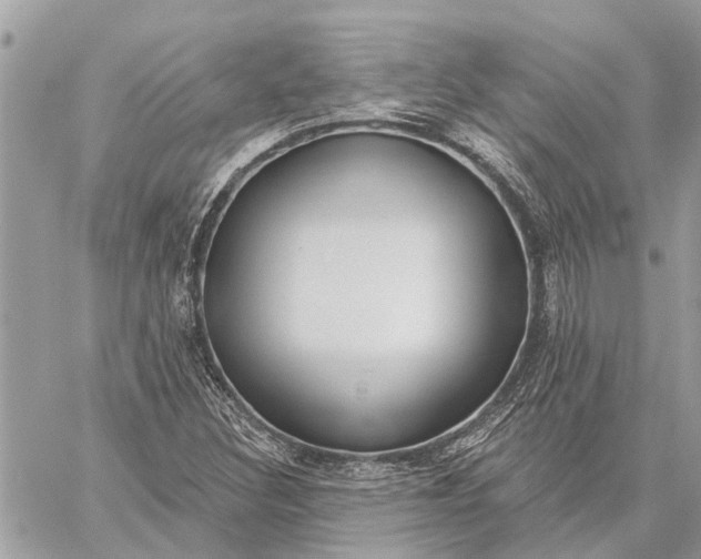 X0000059061308200510281622