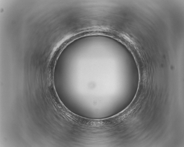 X0000059061310200510281622