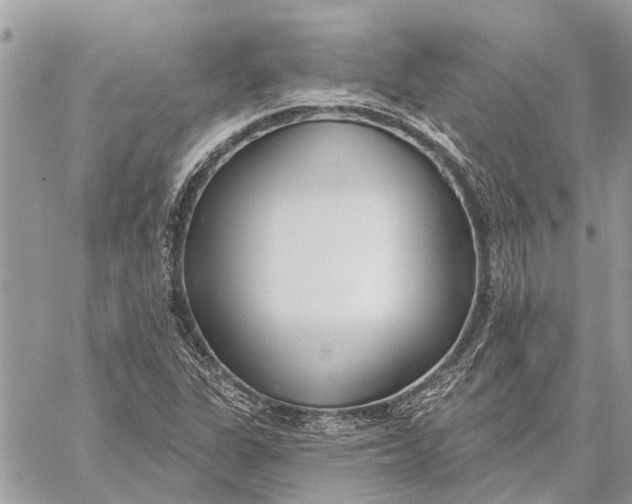 X0000059061311200510281622