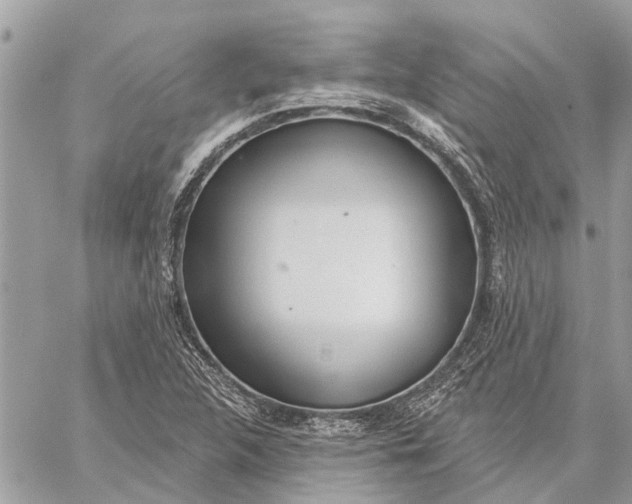 X0000059061312200510281622