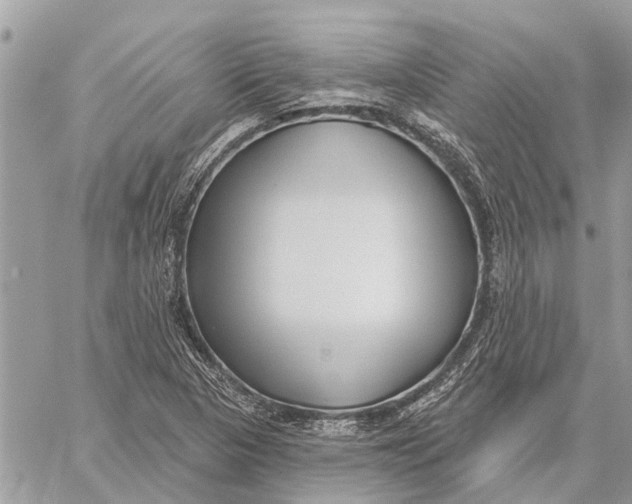 X0000059061313200510281622