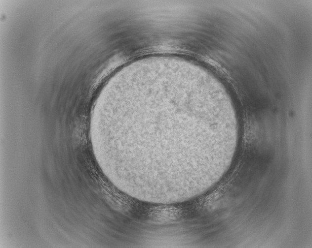 X0000059061314200510281622