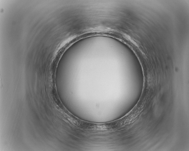 X0000059061315200510281622