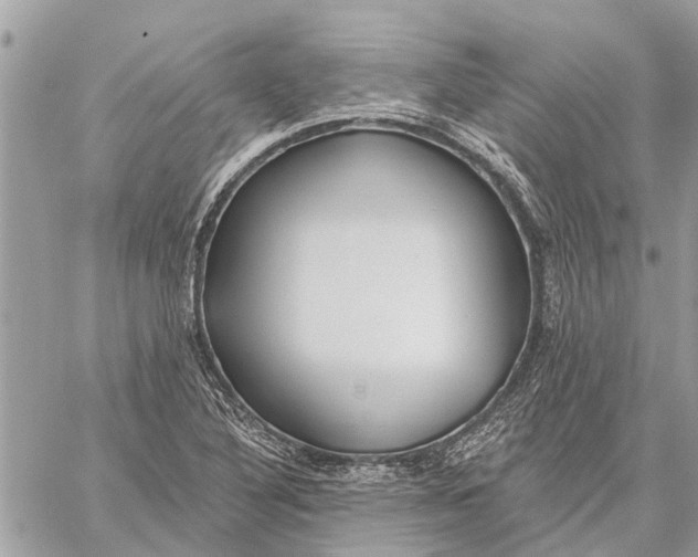 X0000059061316200510281622