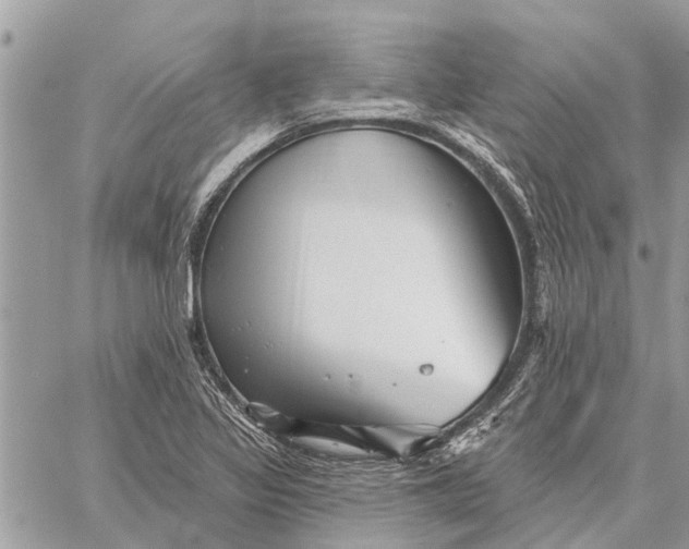 X0000059061317200510281622