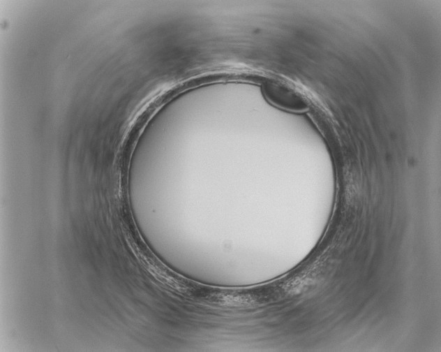 X0000059061318200510281622