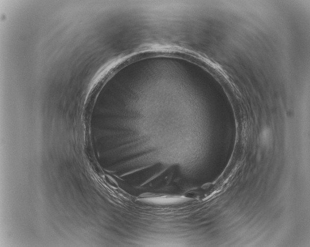 X0000059061319200510281622