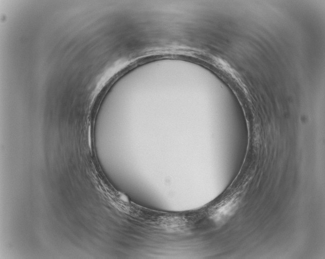 X0000059061320200510281622