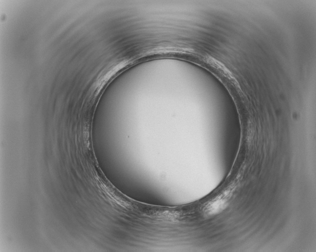 X0000059061321200510281622