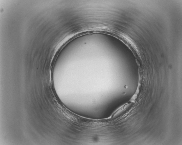 X0000059061324200510281623