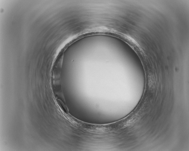 X0000059061326200510281623