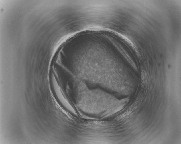 X0000059061327200510281623