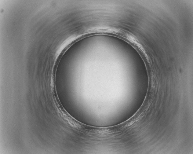 X0000059061328200510281623