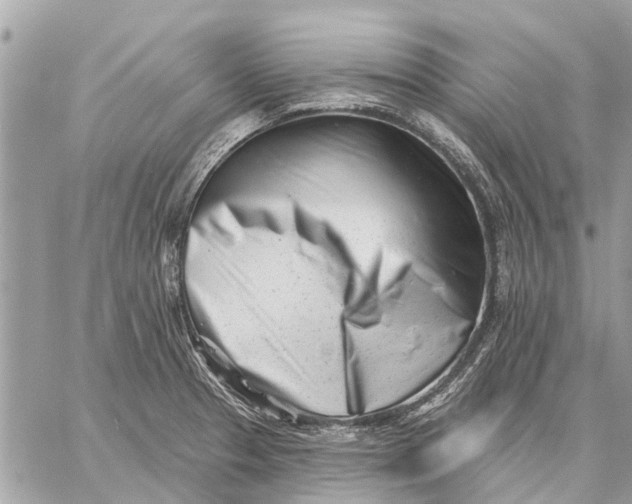 X0000059061329200510281623